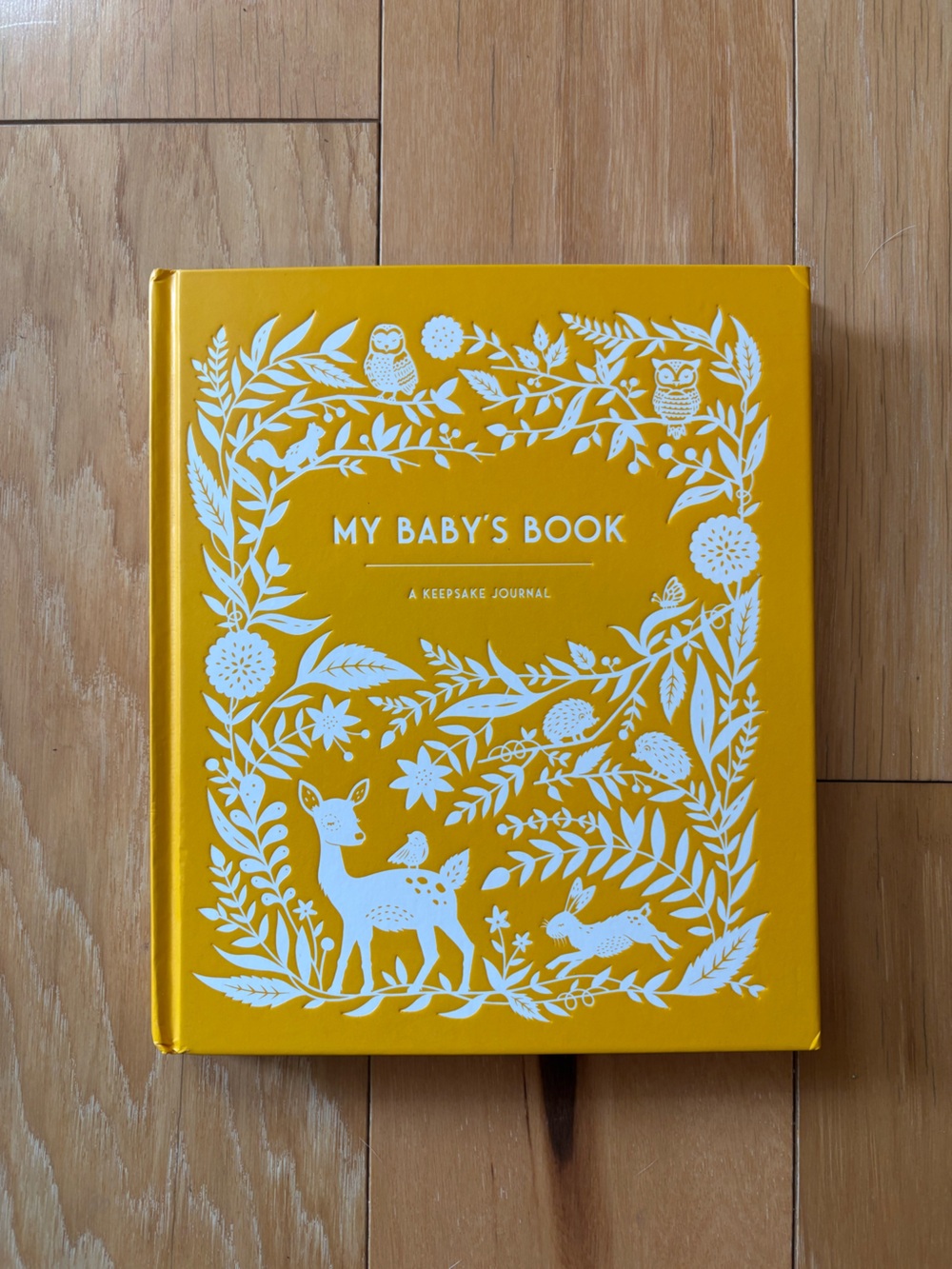 My Baby's Book Keepsake Journal